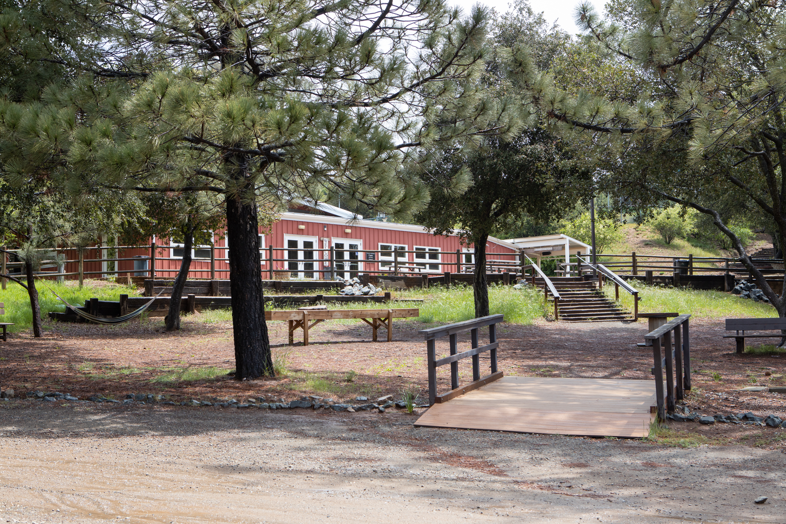 The grove with walkway leading up the Dining Hall