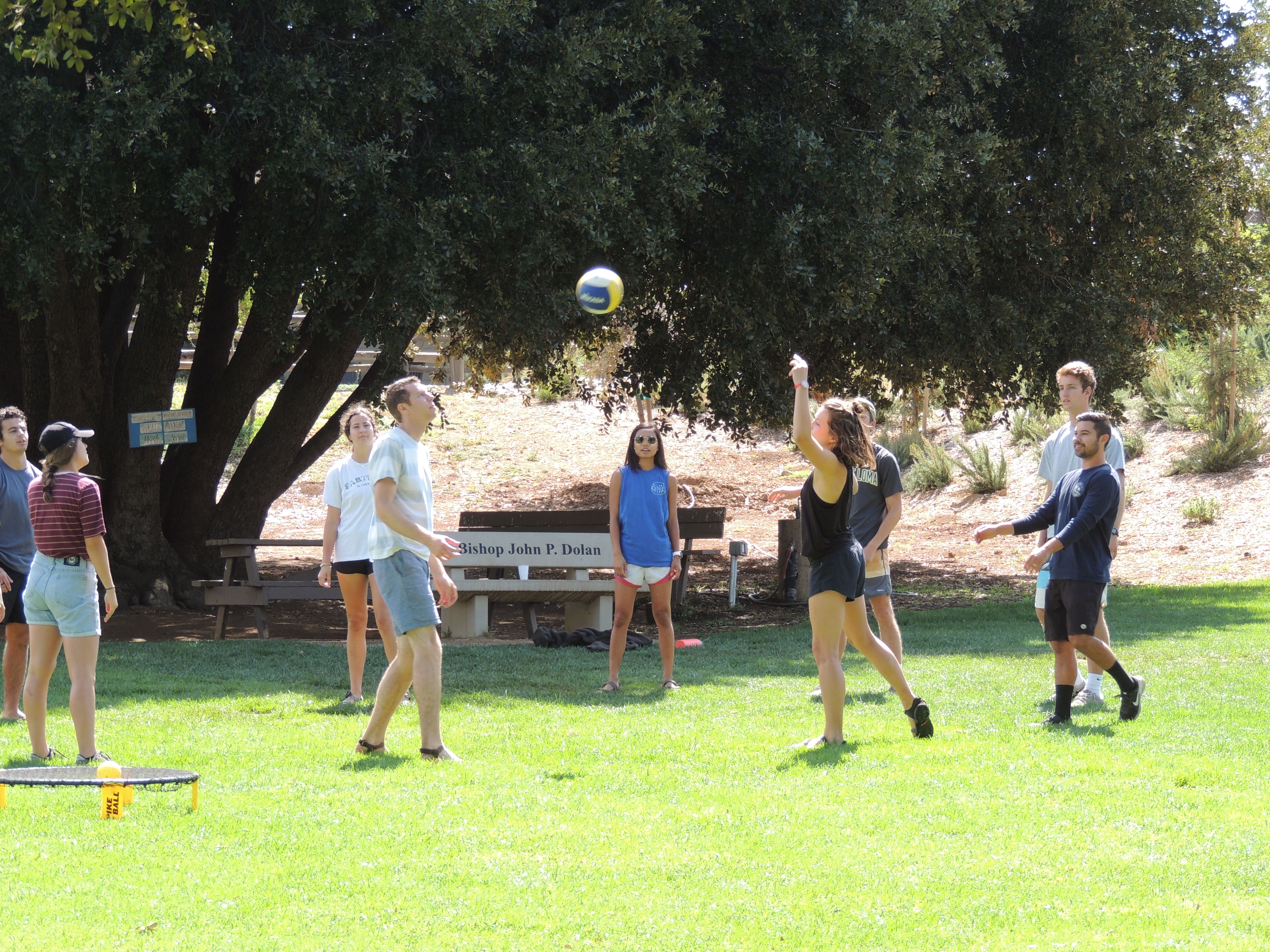 Young Adults in a circle on the meadow playing volleyball