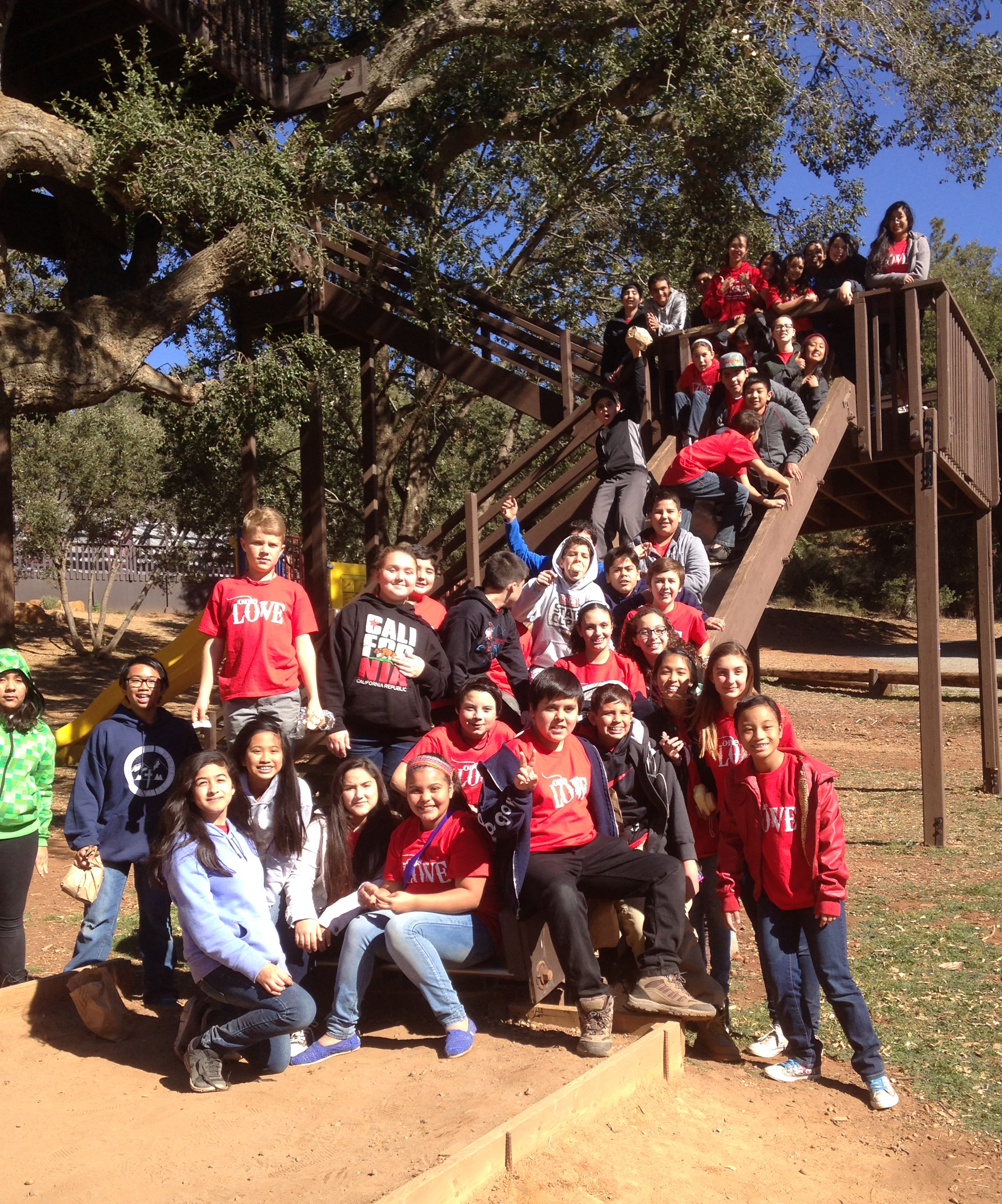 Middle School teen group gathered on treehouse