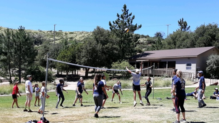 Adutls playing volleyball in meadow
