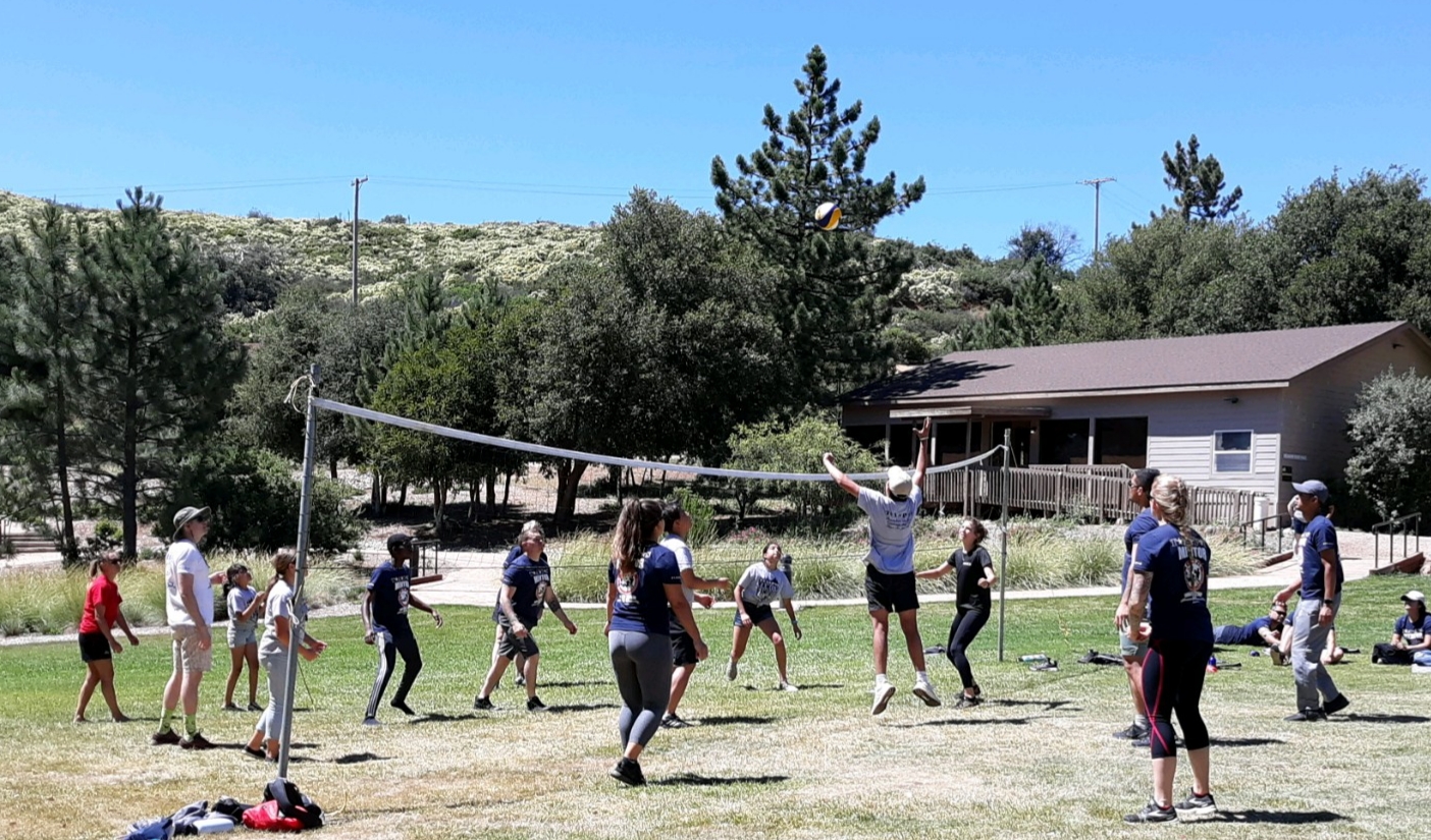 Adutls playing volleyball in meadow