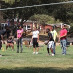 Guest group playing volleyball on meadow