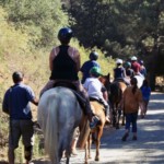 Kids wearing helmets on a horseback ride through camp